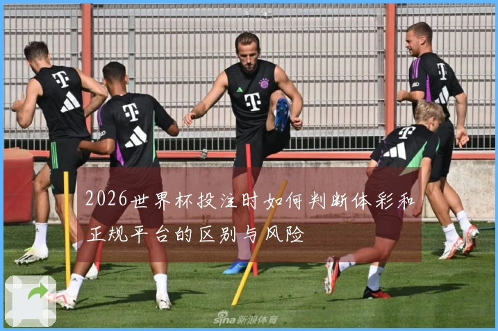 2026世界杯投注时如何判断体彩和正规平台的区别与风险