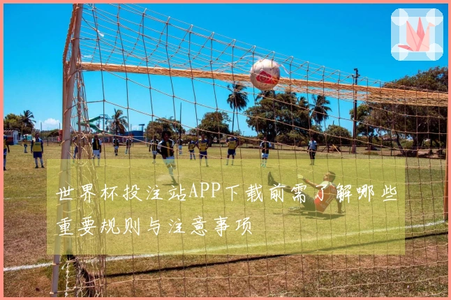 世界杯投注站APP下载前需了解哪些重要规则与注意事项