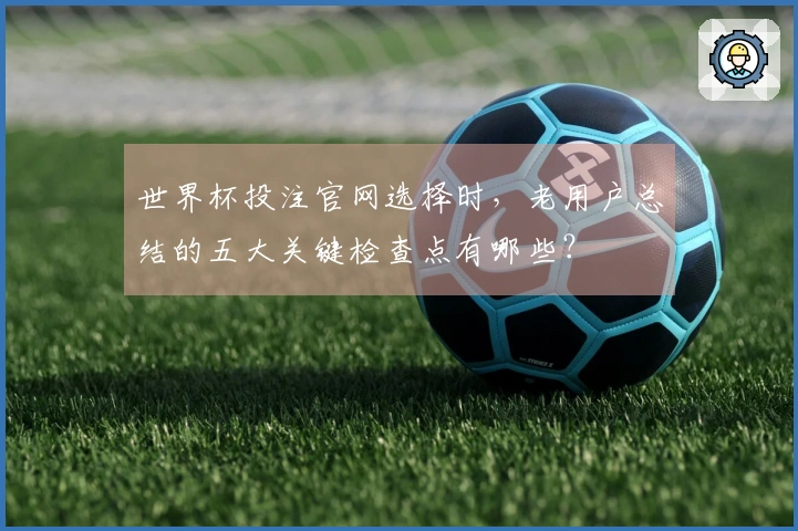 世界杯投注官网选择时，老用户总结的五大关键检查点有哪些？